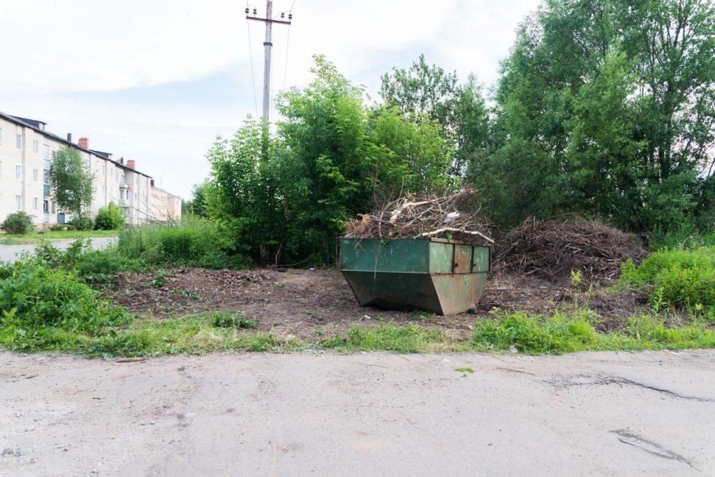 Просто пришли и привели улицу в порядок