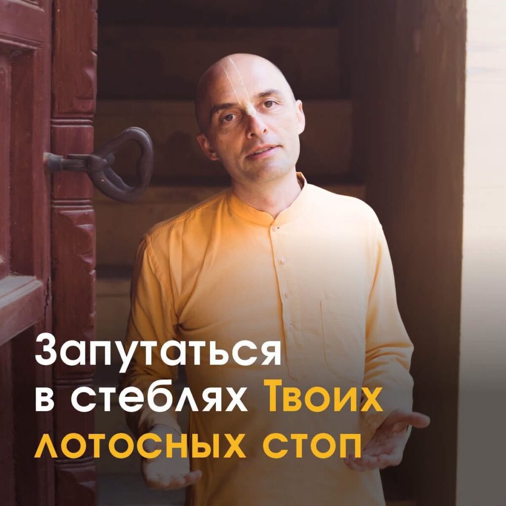 Запутаться в стеблях Твоих лотосных стоп